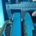 船用配件采购—加油变径管（CK-C20230528-01）询价-船用采购网-船舶物料采购-船务服务-一站式船用设备供应服务