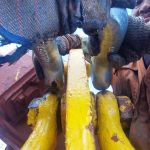 船舶配件—卸扣（CK-H20231106-06）询价-船用采购网-船舶物料采购-船务服务-一站式船用设备供应服务