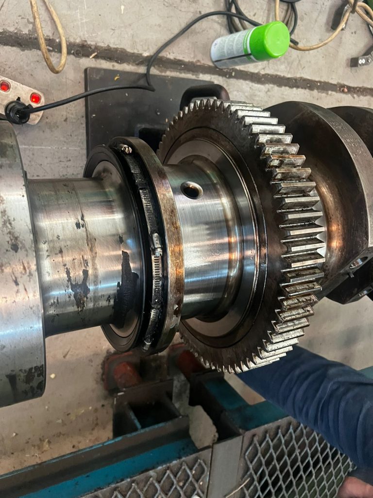 a9bcc246a5e721a651cf0dda4ffd44d