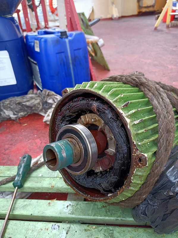 微信图片_20240131092321