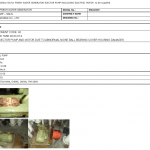 船舶备件—离心泵（CK-C20240315-08）询价-船用采购网-船舶物料采购-船务服务-一站式船用设备供应服务