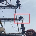 船舶备件—配件（CK-C20240429-02）询价-船用采购网-船舶物料采购-船务服务-一站式船用设备供应服务