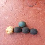 船舶备件—排水用球（CK-C20240429-07）询价-船用采购网-船舶物料采购-船务服务-一站式船用设备供应服务