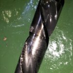 船舶备件—完整泵（CK-C20240416-07）询价-船用采购网-船舶物料采购-船务服务-一站式船用设备供应服务