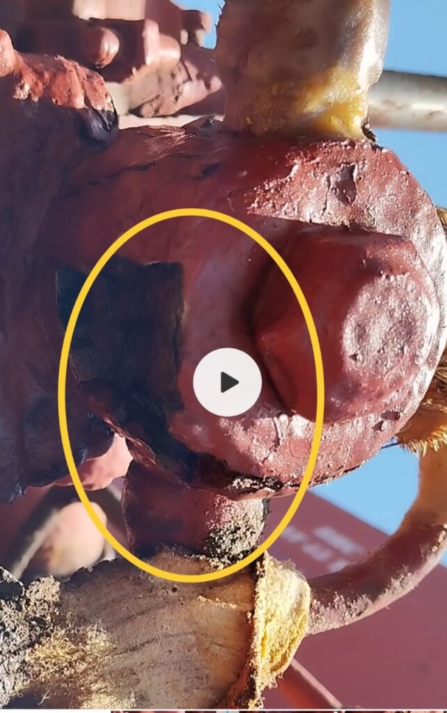 0e7f43e0cbad5b7d3571d4f8522b19d