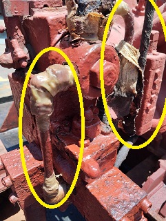 72e78e4c246635431a0796ea456d908