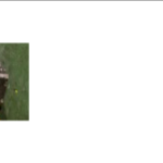 船舶备件—MAN B&W备件（CK-R20240711-07）询价-船用采购网-船舶物料采购-船务服务-一站式船用设备供应服务