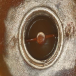 船舶备件—IMO泵备件（CK-L20240806-03）询价-船用采购网-船舶物料采购-船务服务-一站式船用设备供应服务