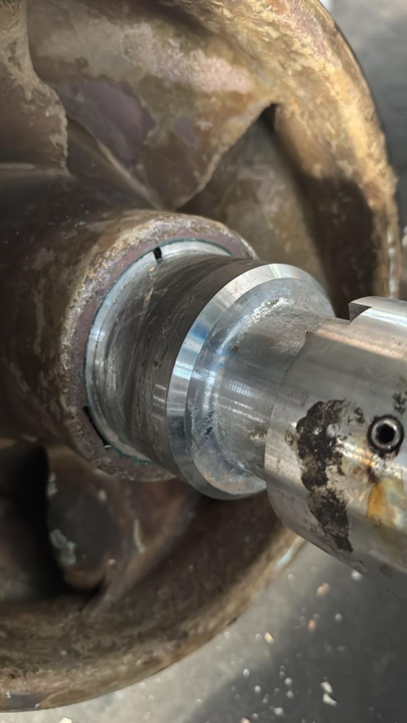 3a07382426bd91dd6ffa8c0d0605162